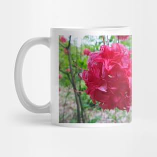 Red Azalea Flowers Mug